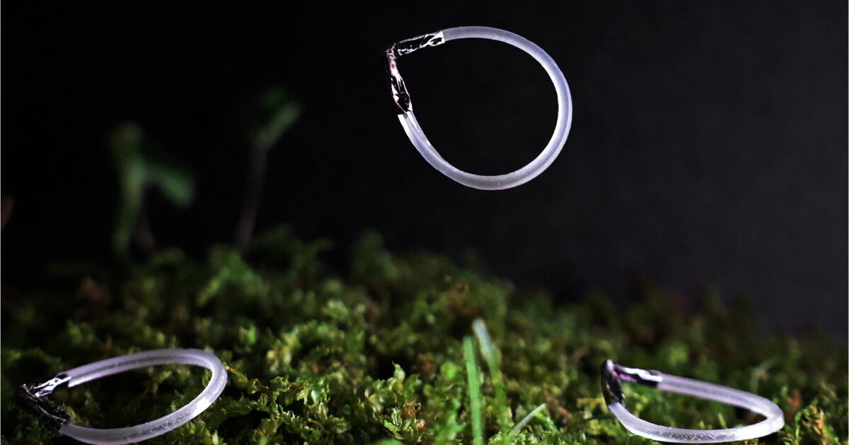 Elastic Robot Jumps Continuously With Infrared Light — New Atlas