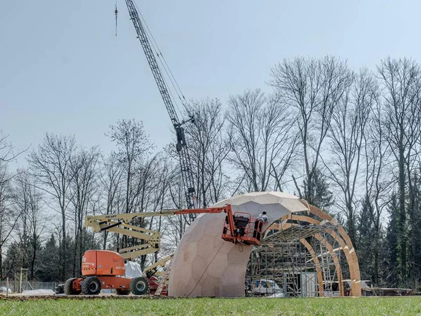 The Landesgartenschau Exhibition Hall is constructed from interlocking plywood panels (Photo: ICD/ITKE/IIGS University of Stuttgart)