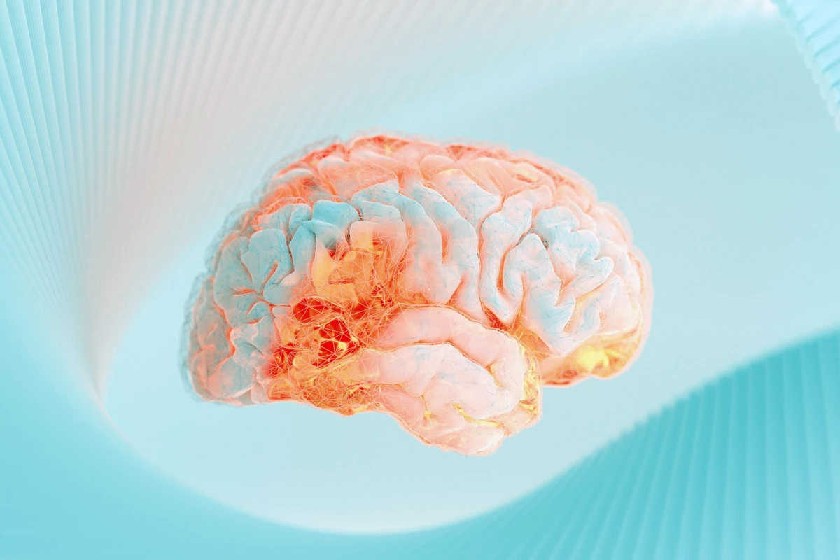 Scientists Find Brain Link Between Physical Pain and Emotion Scientists have uncovered a brain circuit responsible for the emotional impact of pain, shedding light on why certain physical injuries lead to prolonged suffering. This discovery challenges existing views on pain processing and could revolutionize the way chronic pain is treated.