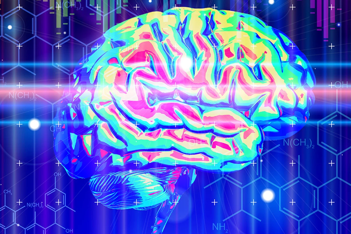 Electric stimulation of the brain through the skull has been found to release a powerful, opiate-like painkiller (Image: Shutterstock)