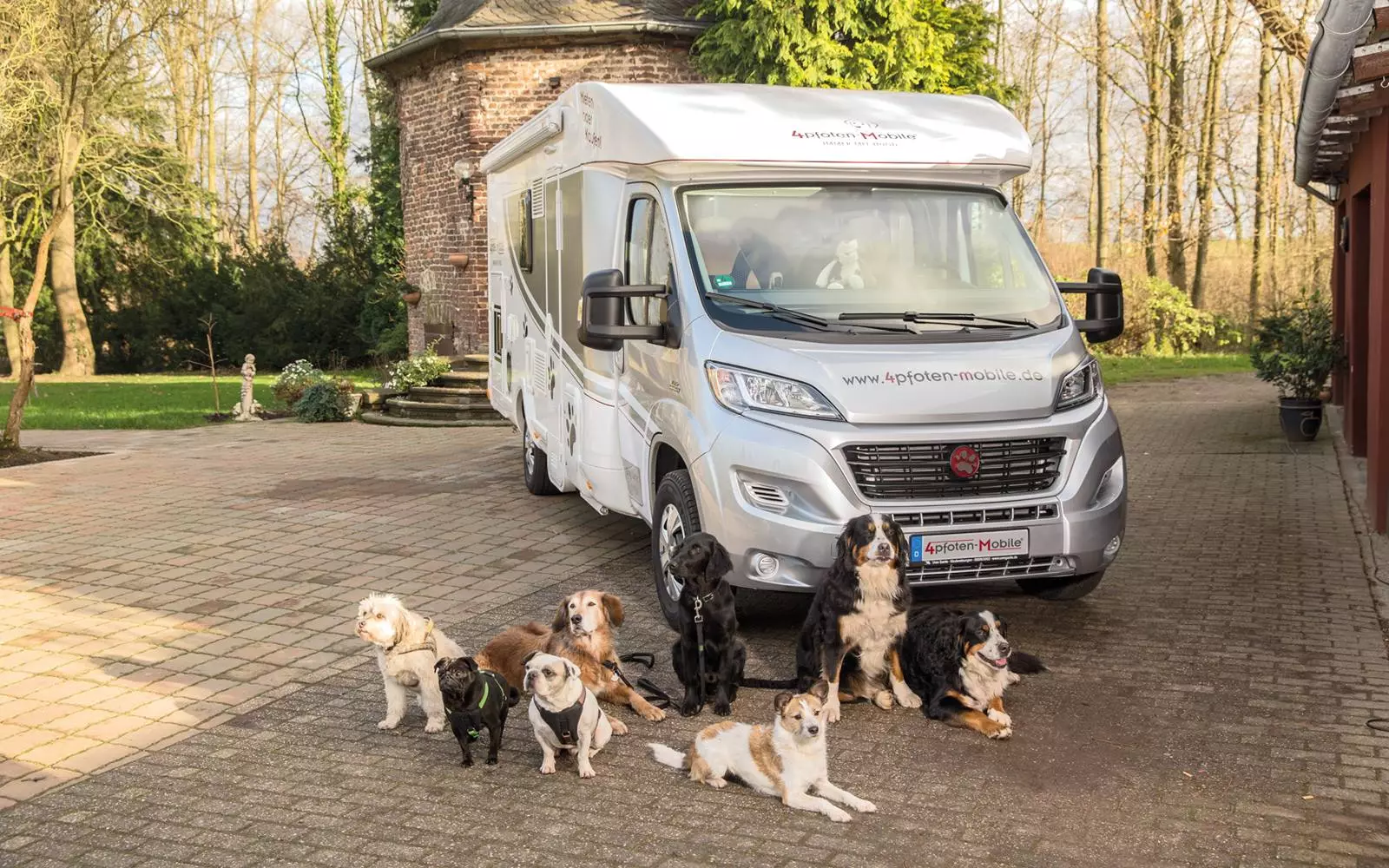 4pfoten-Mobile offers an integrated solution for road travel and outdoor adventure with man's best friend