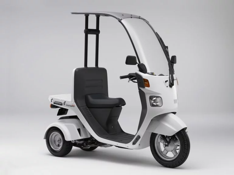 The existing Canopy with 50cc motor