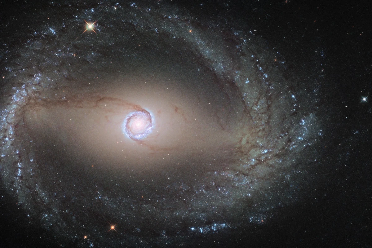 Hubble image of the barred spiral galaxy NGC 1512