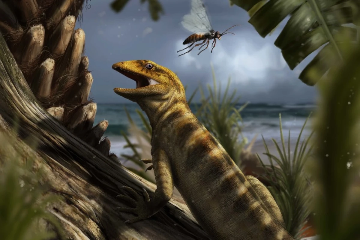 Recreation of life in the Dolomites 240 million years ago, with the oldest lizard known to man Megachirella wachtleri, going about its business