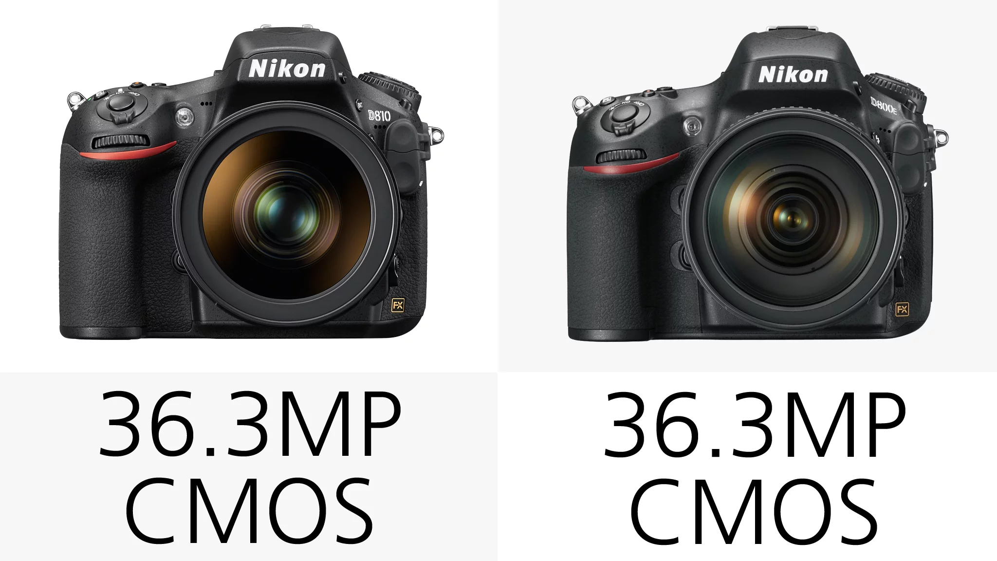 While the Nikon D810 and D800/E feature an effective 36.3 megapixel full-frame CMOS sensor, there are a number of key differences