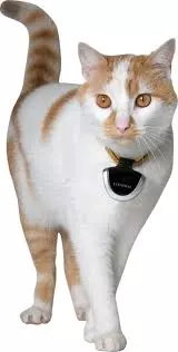 Eyenimal Pet Video Camera