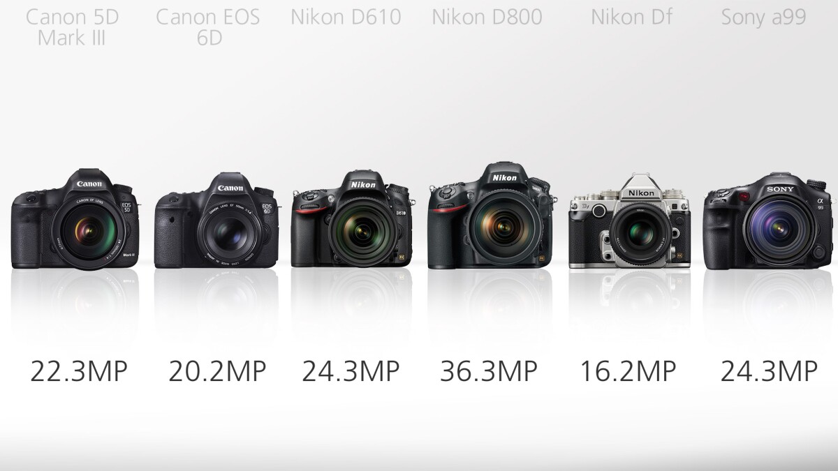 The megapixel counts of these high-end DSLRs range from 16 to 34 megapixels