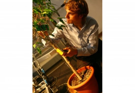 MIT senior Christopher Love works with a test tree