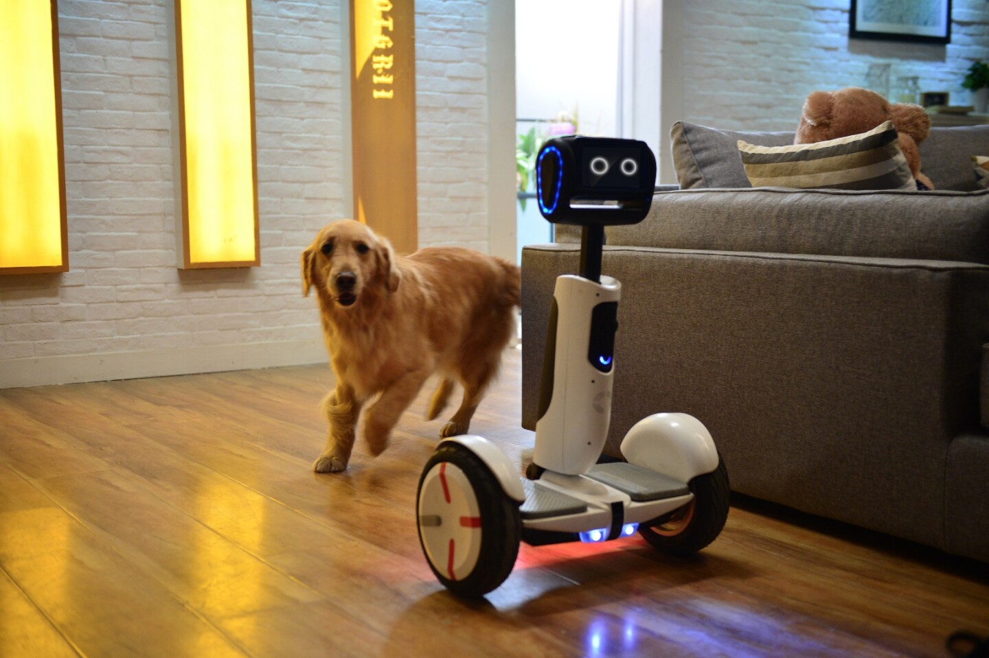 The robot is powered by an Intel Atom processor and runs on Android with an open SDK