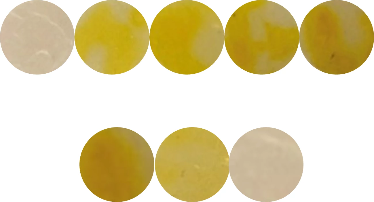 Some of the film discs used in the study, with different shades of yellow indicating different nitrite levels in the meat tested