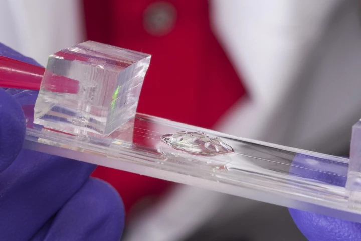 The experimental lens combines the wide angle properties of insect vision with the depth-of-field capabilities of a human eye (Photo: Jo McCulty, Ohio State University)