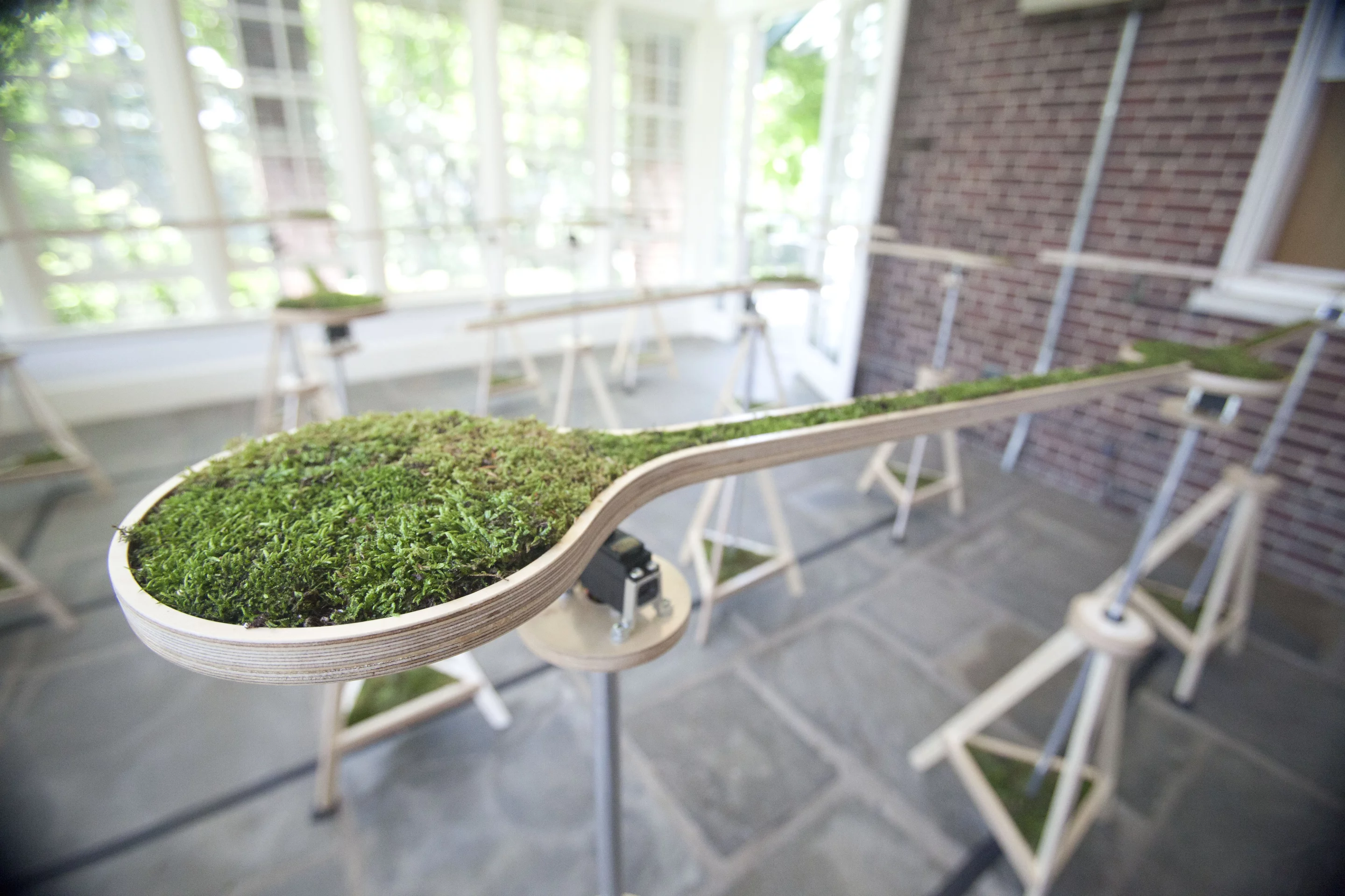 Artist Nova Jiang scoured the sidewalks of her native New York (Brooklyn, to be precise) to extract moss samples to embed into the moving planters of her Landscape Abbreviated art installation