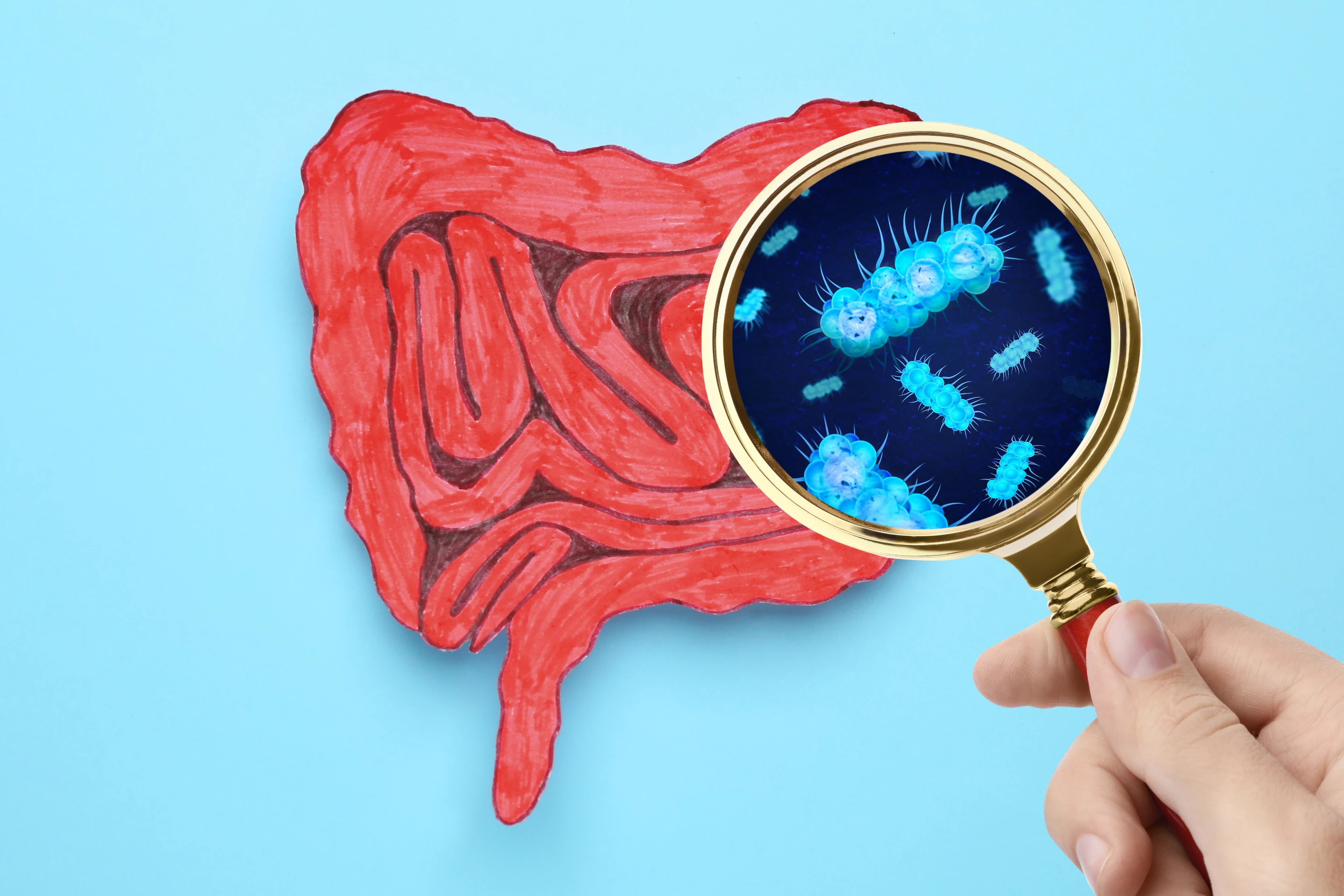 New research looked at how a common food additive used as an emulsifier influences the gut microbiome