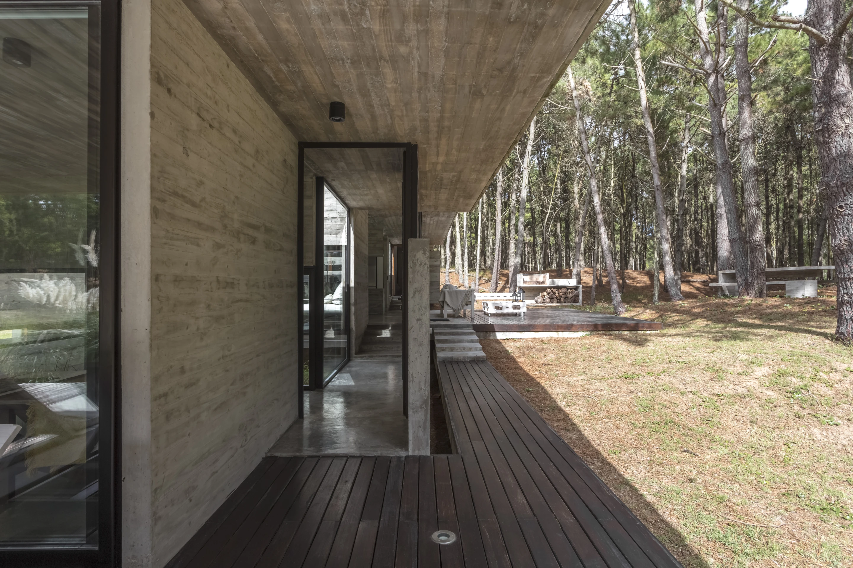 The rooftop of the Forest House was designed as a green terrace to boost thermal insulation
