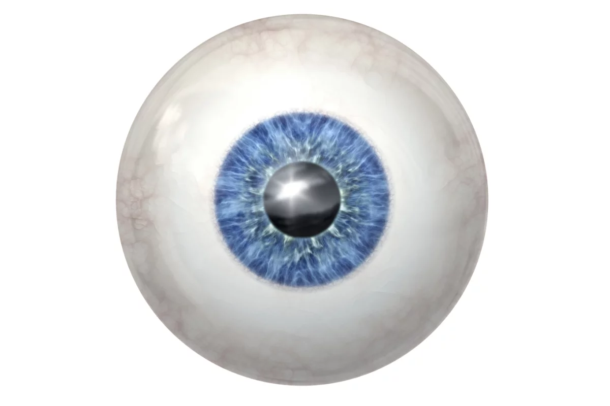 Physicians at the University of Wisconsin-Madison have succeeded in growing human retinal tissue from stem cells (Image: Shutterstock)