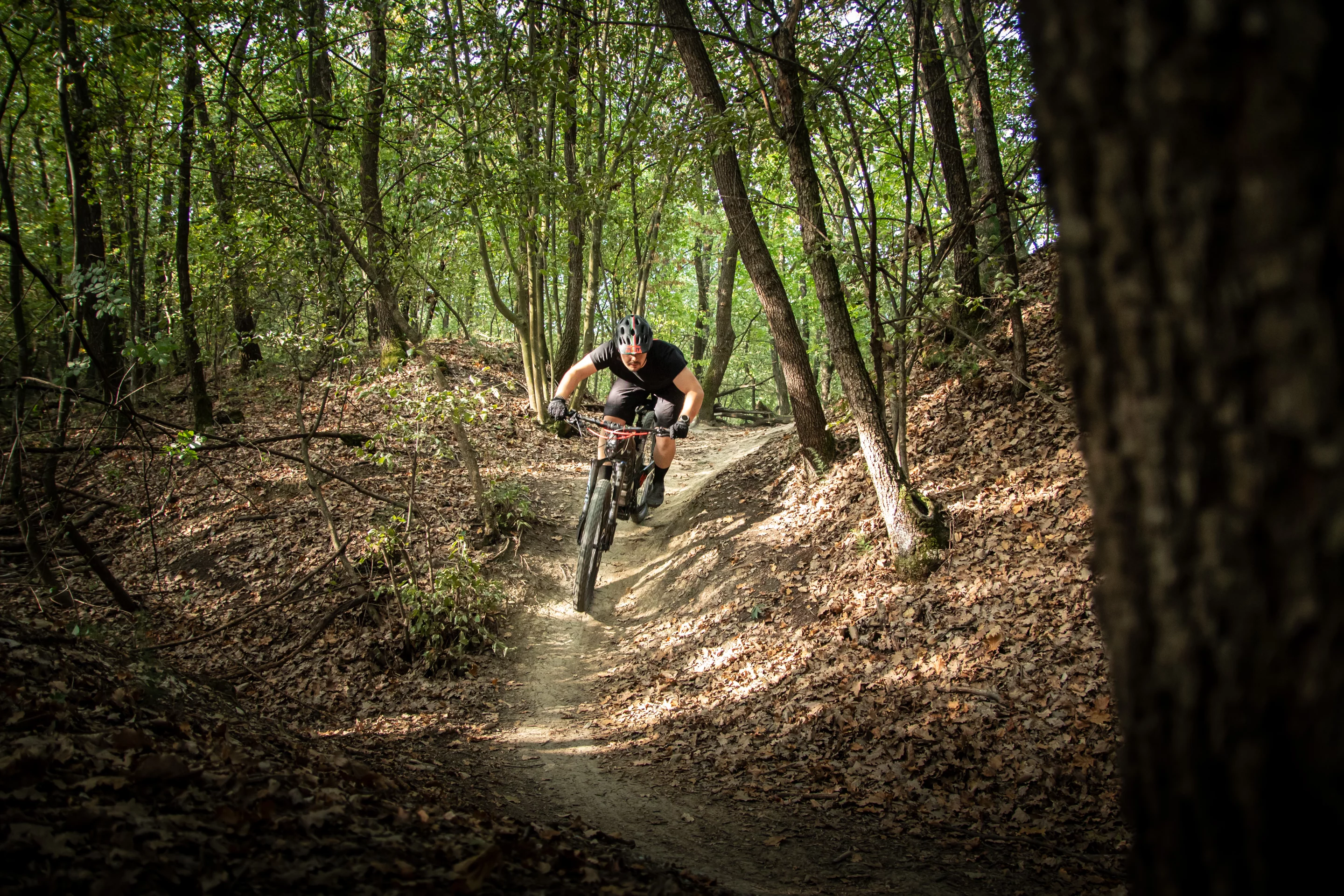 Riders could have trails smoothed out by RockShox, Fox or Bright full suspension, depending on model variant selected