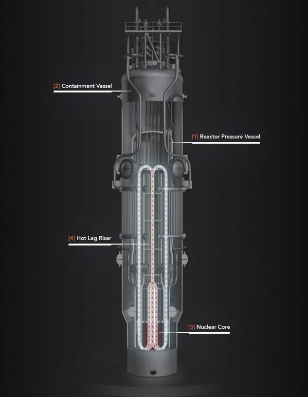 The NuScale SMR cross section