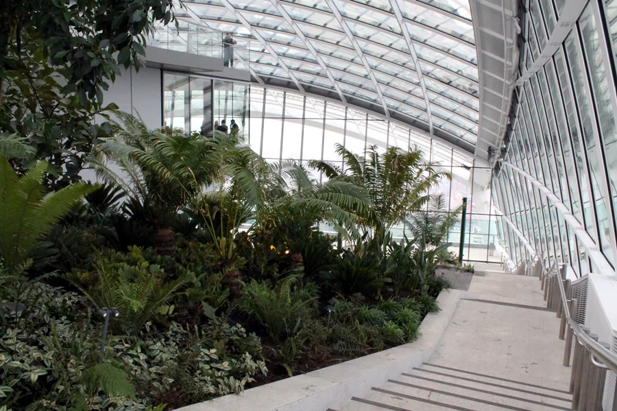 The planted west terrace at the Sky Garden (Photo: Stu Robarts/Gizmag)