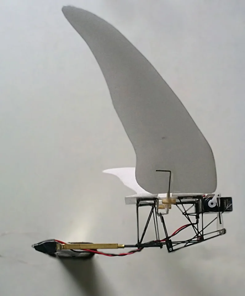 Researchers inspired by the wings of swifts and swftlets have developed an experimental Micro Air Vehicle which combines flapping and gliding flight modes for improved efficiency