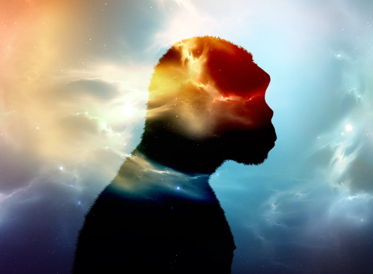 Scientists have uncovered a genetic trace of a mysterious, and possibly undiscovered, ancient sub-species of human