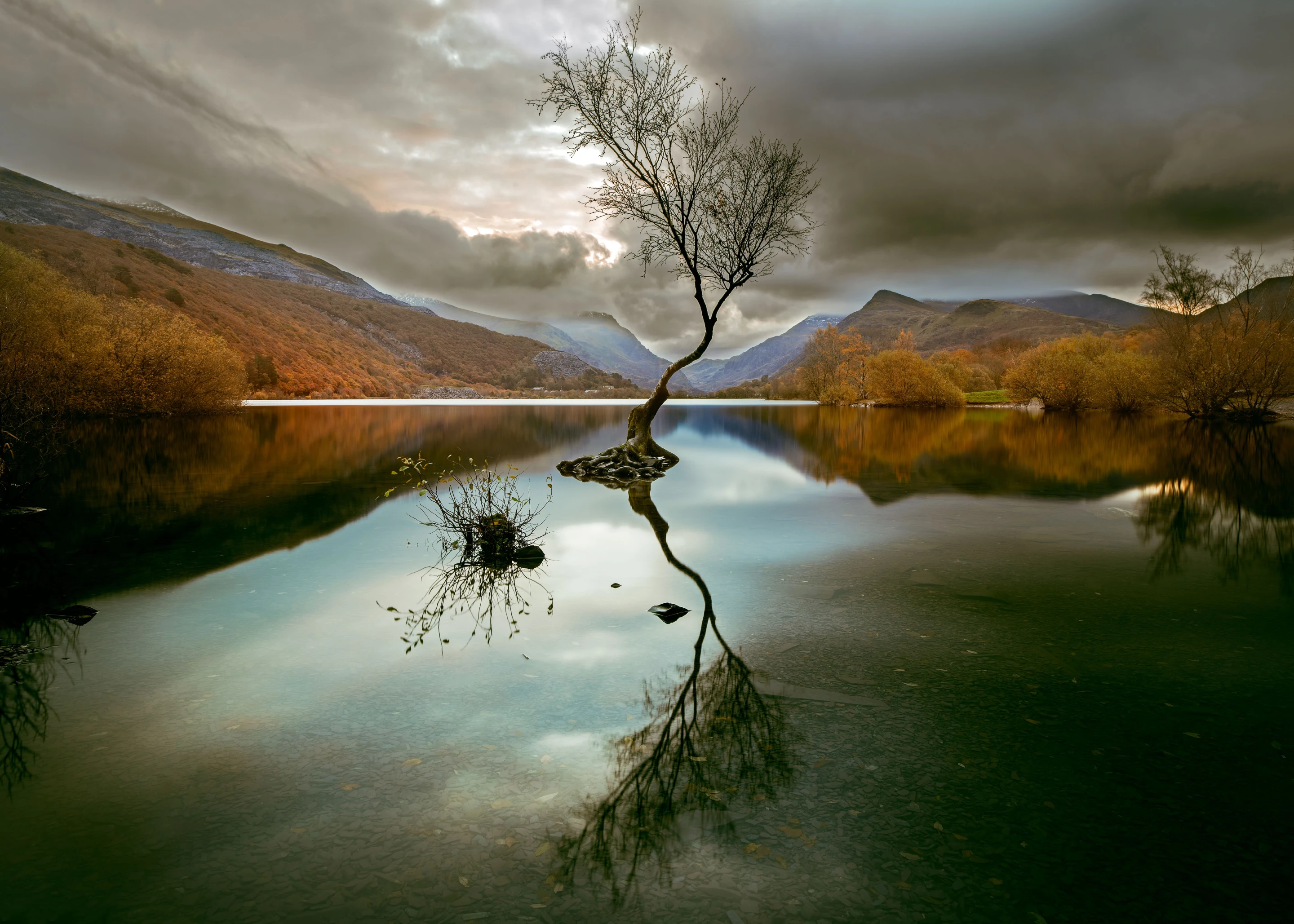 1st Place / Fine Art/Landscape. 'The Lone Tree'