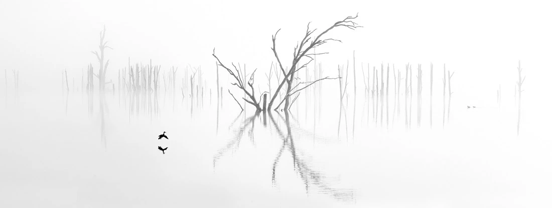 Australian photographer Ray Jennings took the other Amateur award for Best Landscape / Nature image. This shot was taken at Lake Windamere in NSW Australia