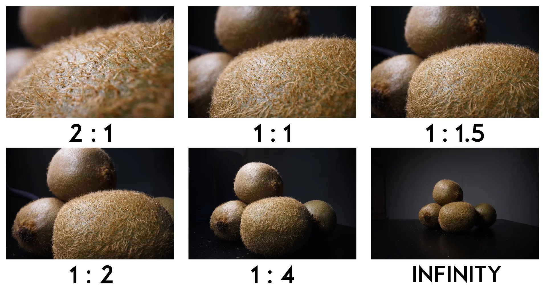 Laowa 24mm f/14 Probe Macro Lens: magnification range