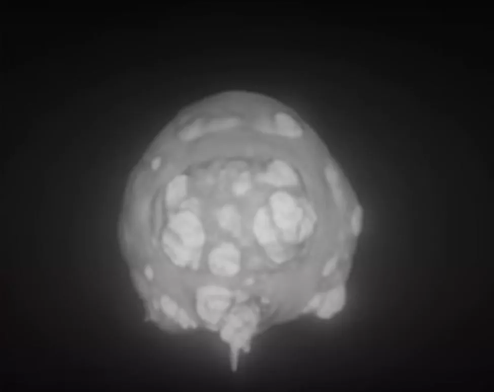 Most of the footage is of slow motion close ups of the initial explosions for analytical purposes