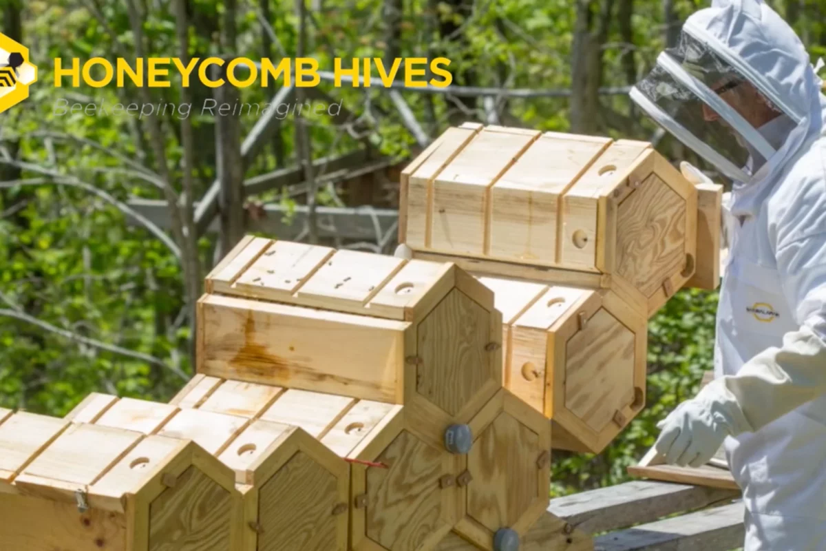 Maybe bees were onto something, with all those hexagons