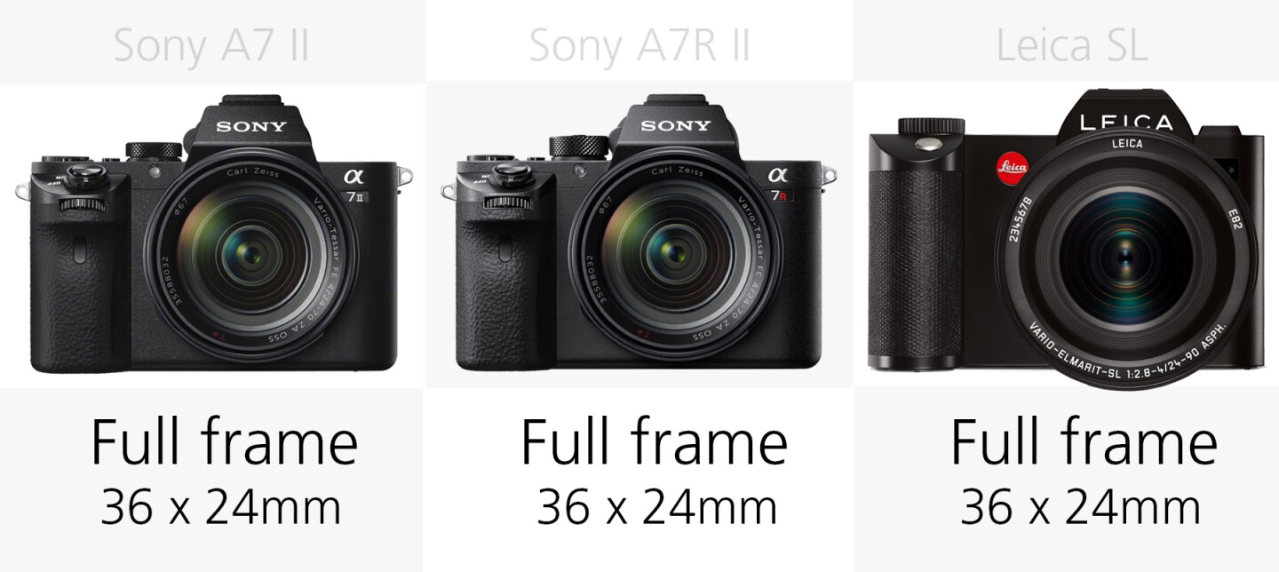 Sensor size comparison Sony A7 II, Sony A7R II and Leica SL