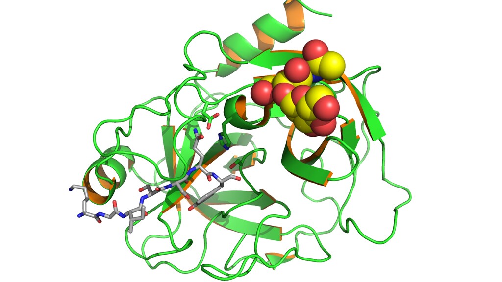 Ultrasensitive biosensor could detect diseases in their earliest stages