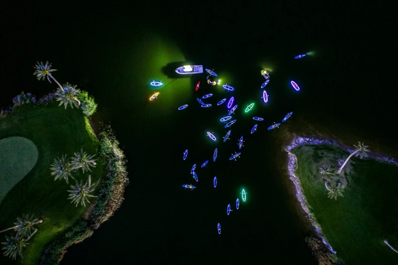 Neon Paddle: Commended in the People category
