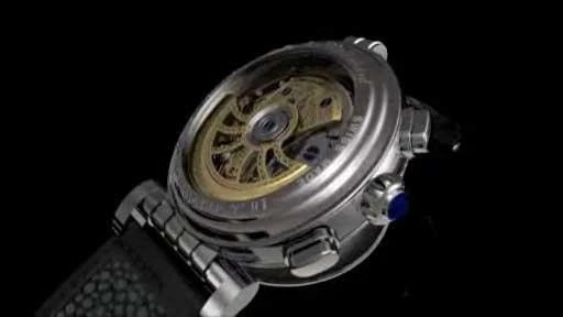 The Dubey & Schaldenbrand Spiral-verso VIP