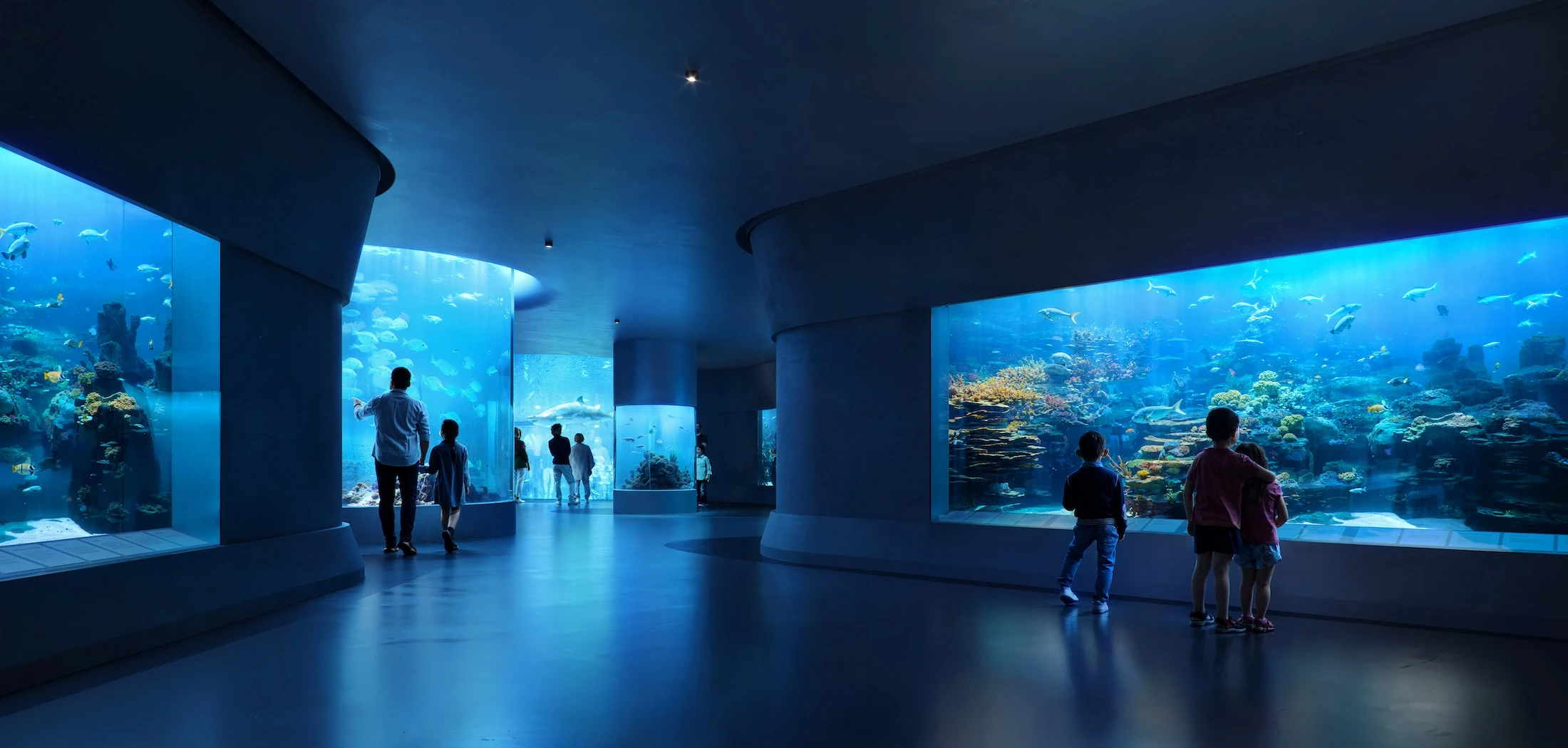 The Centre of Mediterranean Culture will include an aquarium
