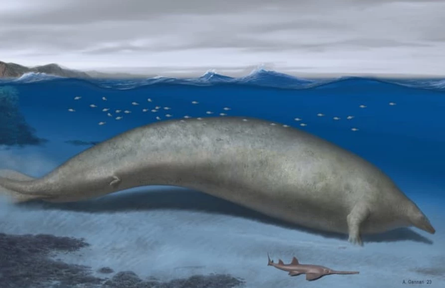 An artist's impression of Perucetus colossus, a newly discovered ancient whale species that may now be the largest animal that ever existed