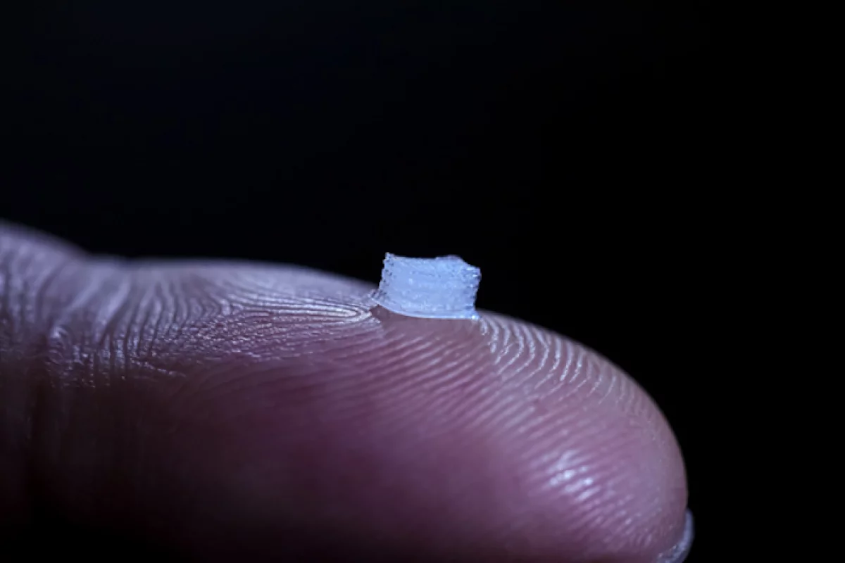 A 3D-printed device, loaded with neuronal stem cells, that can be implanted into an injured spinal cord to help "bridge" the damage