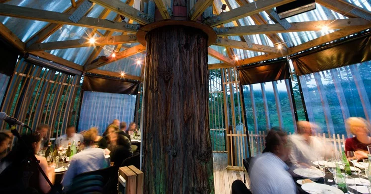 Dining at the Redwoods Treehouse
