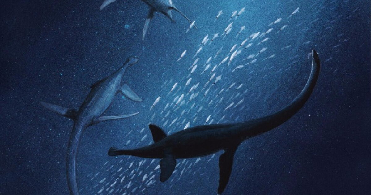 New species of ancient marine reptile is the oldest of its kind