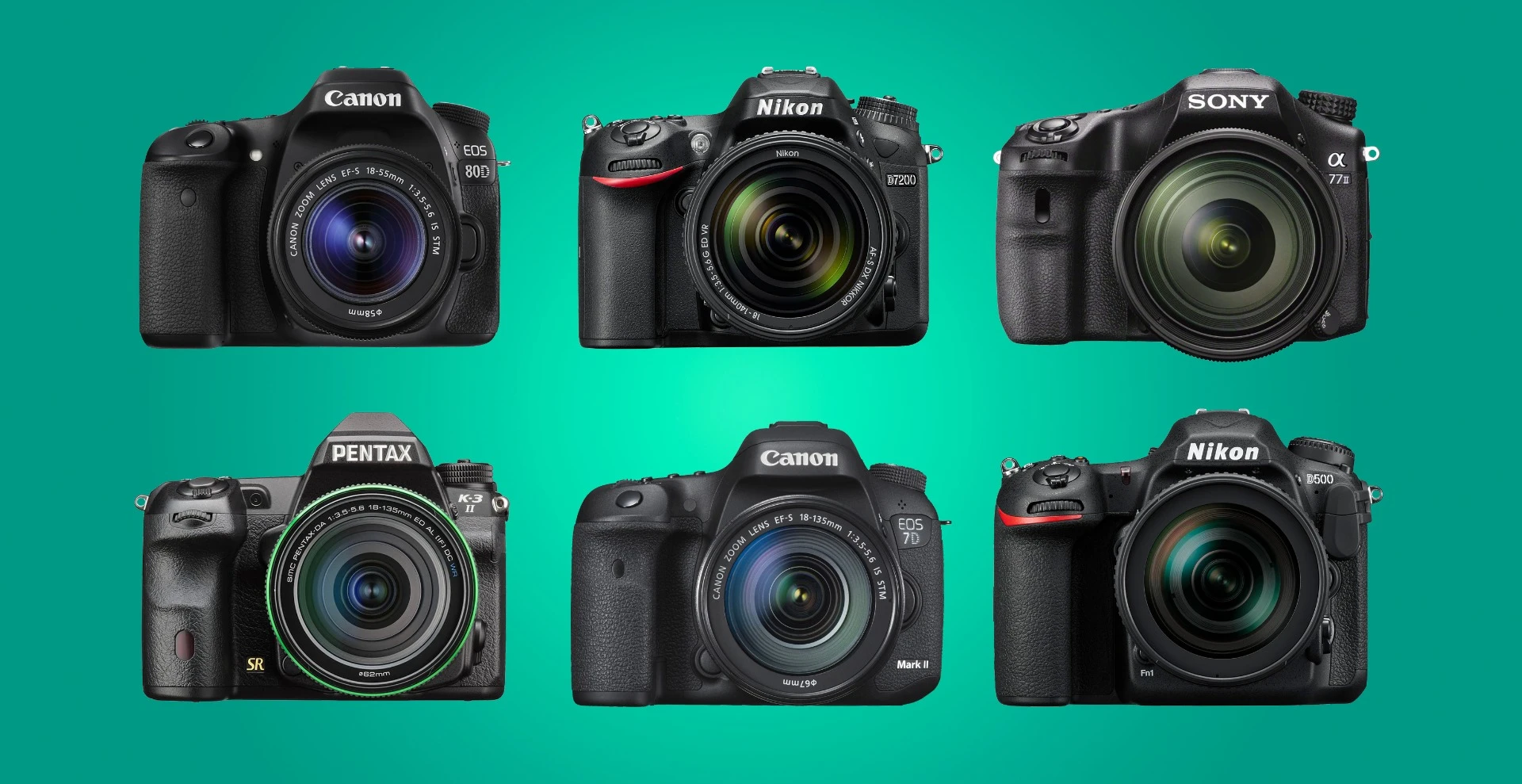 New Atlas looks at some of the best APS-C DSLR cameras available in 2016