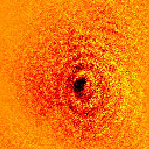 The atom itself is far smaller than the wavelength of the light. This pattern of rings generally shows up for such small objects (Image: Griffith University)