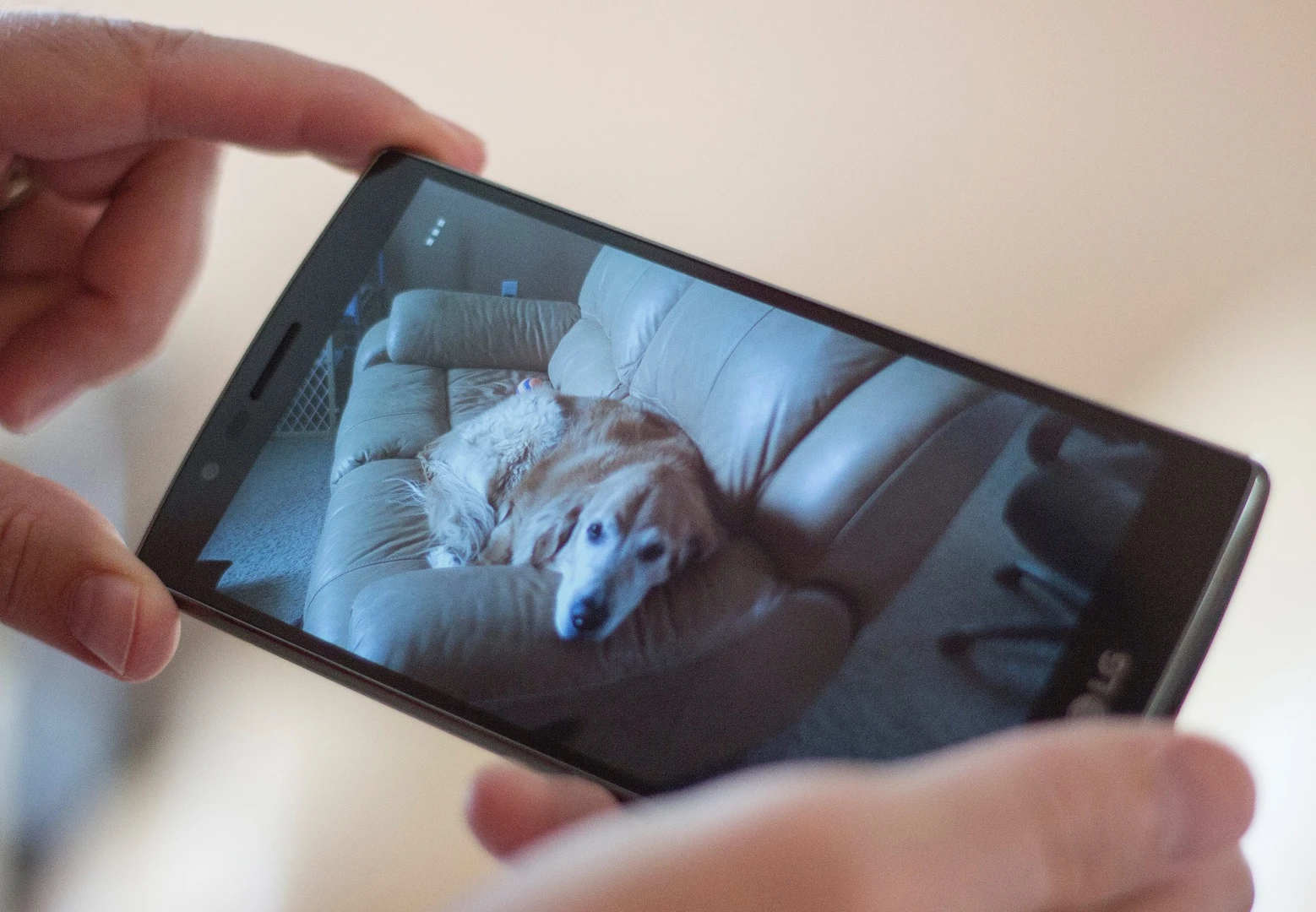 The G4's camera takes great shots, including some of the best low-lit photography we've seen in a phone