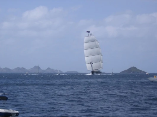 The Maltese Falcon