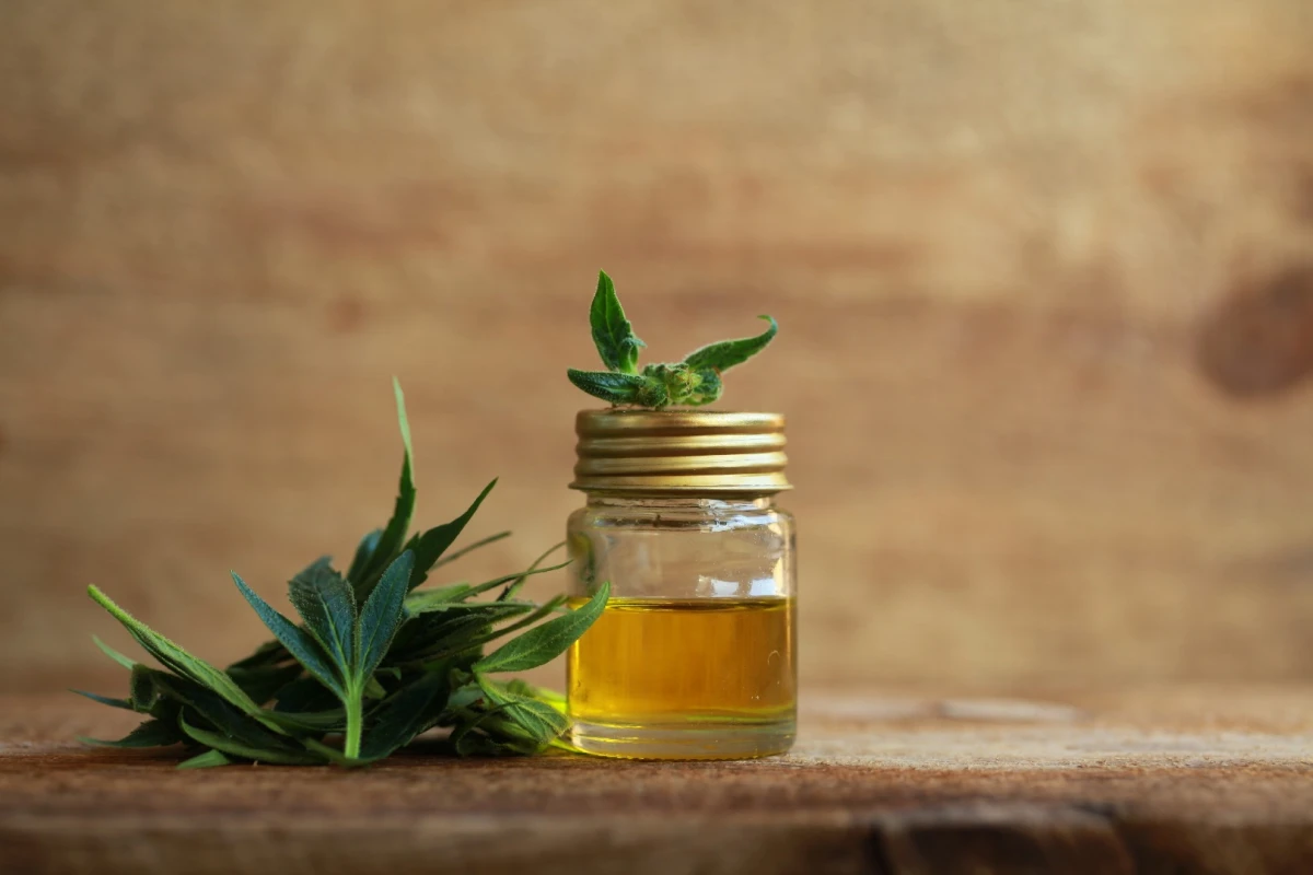 The new method allows for cheaper and faster production of medical-grade cannabinoids in large quantities