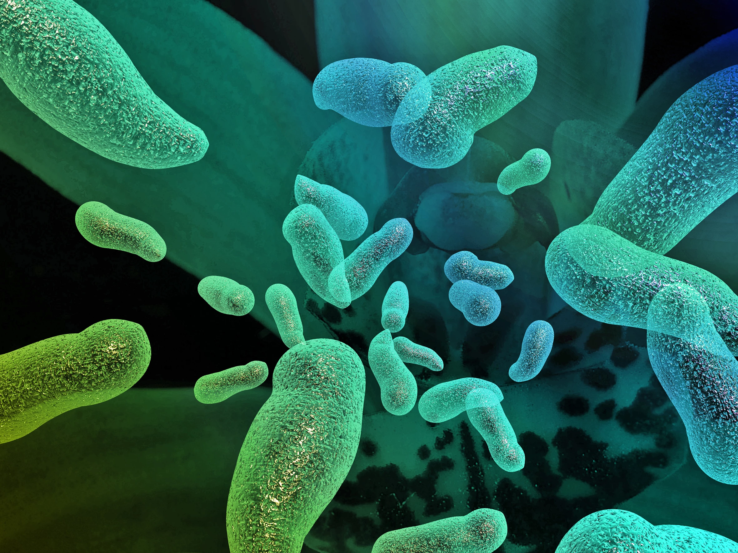 A new study has thrown further weight behind the idea that initial exposure – and therefore age – can shape vulnerability to different sub-types of influenza A