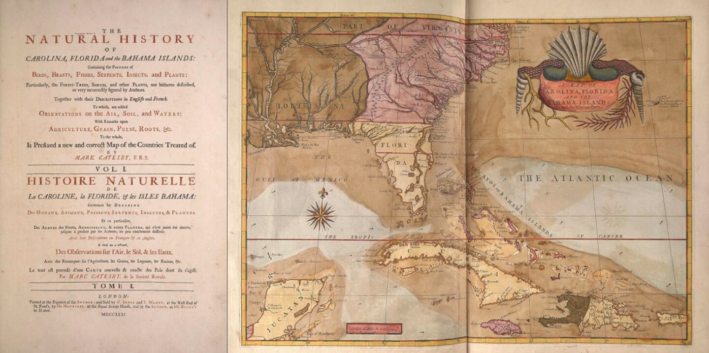 $366,000 | The Natural History of Carolina, Florida and the Bahama Islands' by Mark Catesby | Auction House: Arader Galleries (no link) | Sale price: US$366,000 | Official Estimate: US$250,000 to $300,000 | Date of sale: March 31, 2018