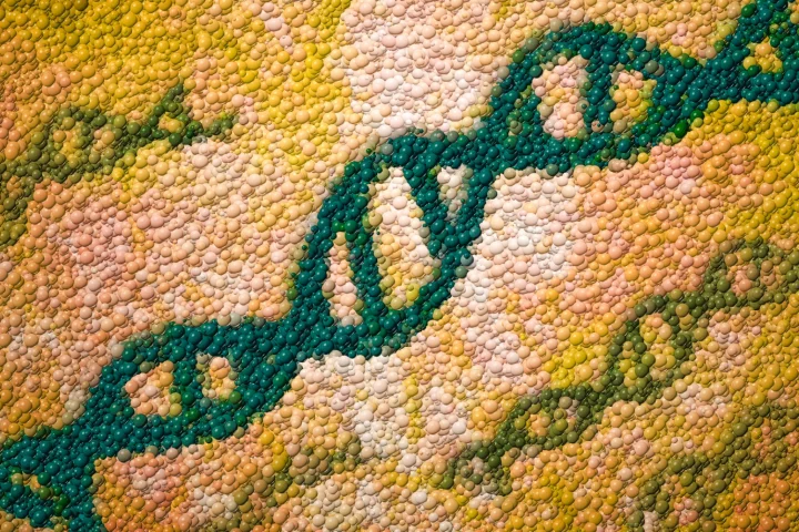 A new technique successfully edited a single genetic mutation prenatally, resulting in healthy mice being born