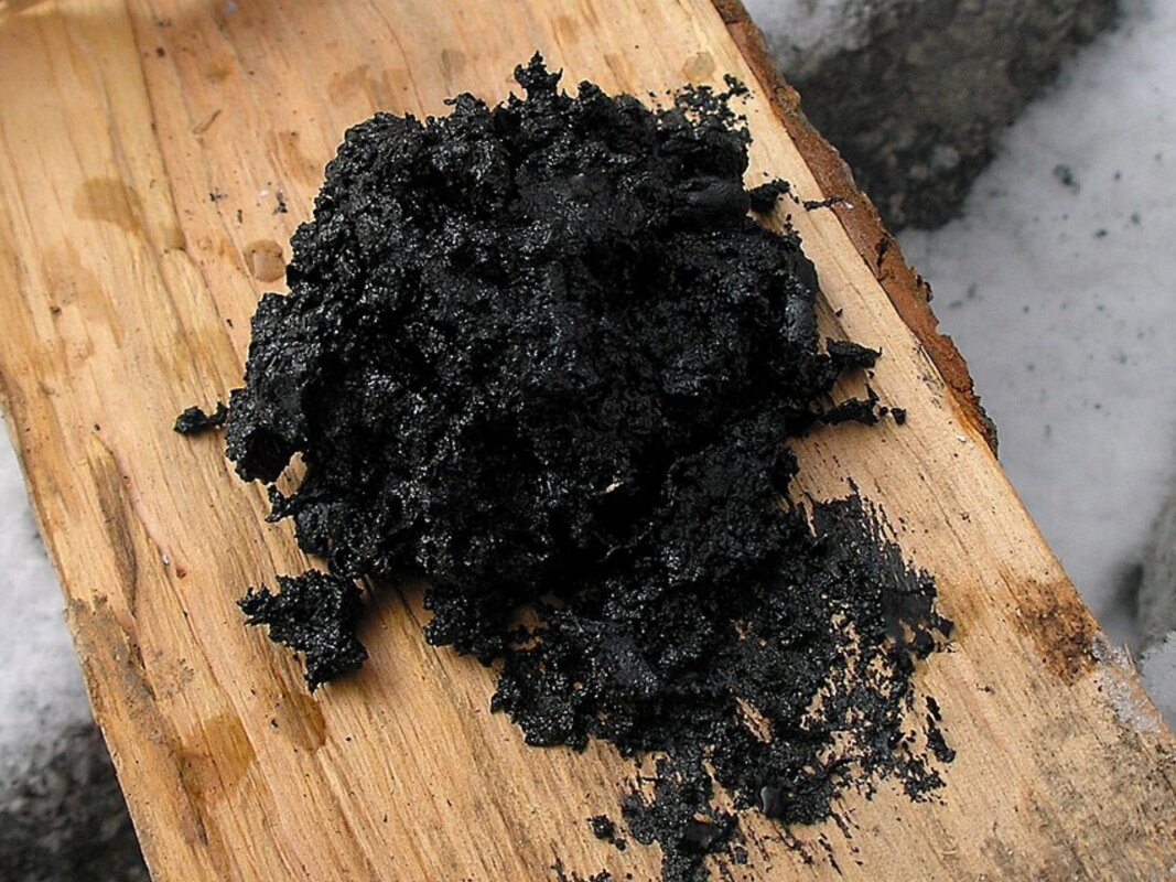 This sticky substance could be a rare example of Neanderthal medicine
