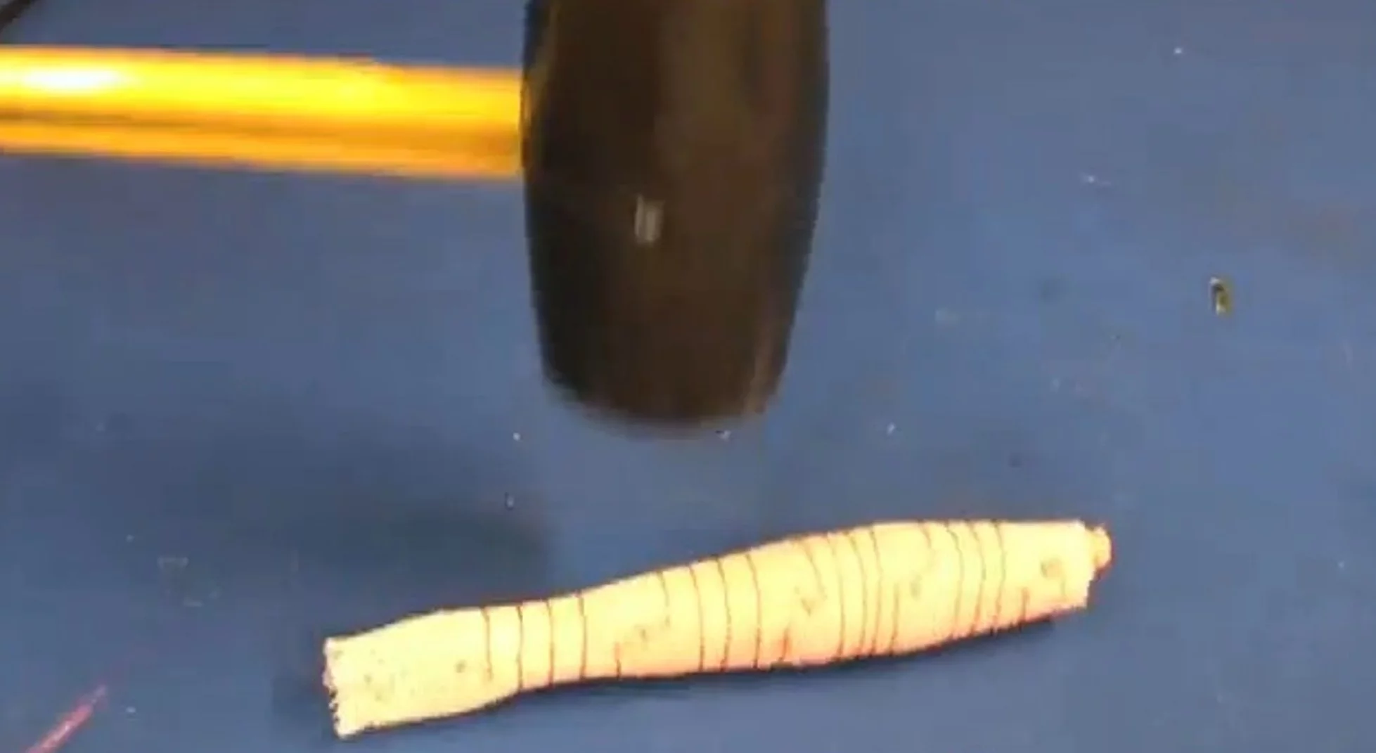 The soft components make Meshworm tough enough to hit with a hammer (Photo: MIT)