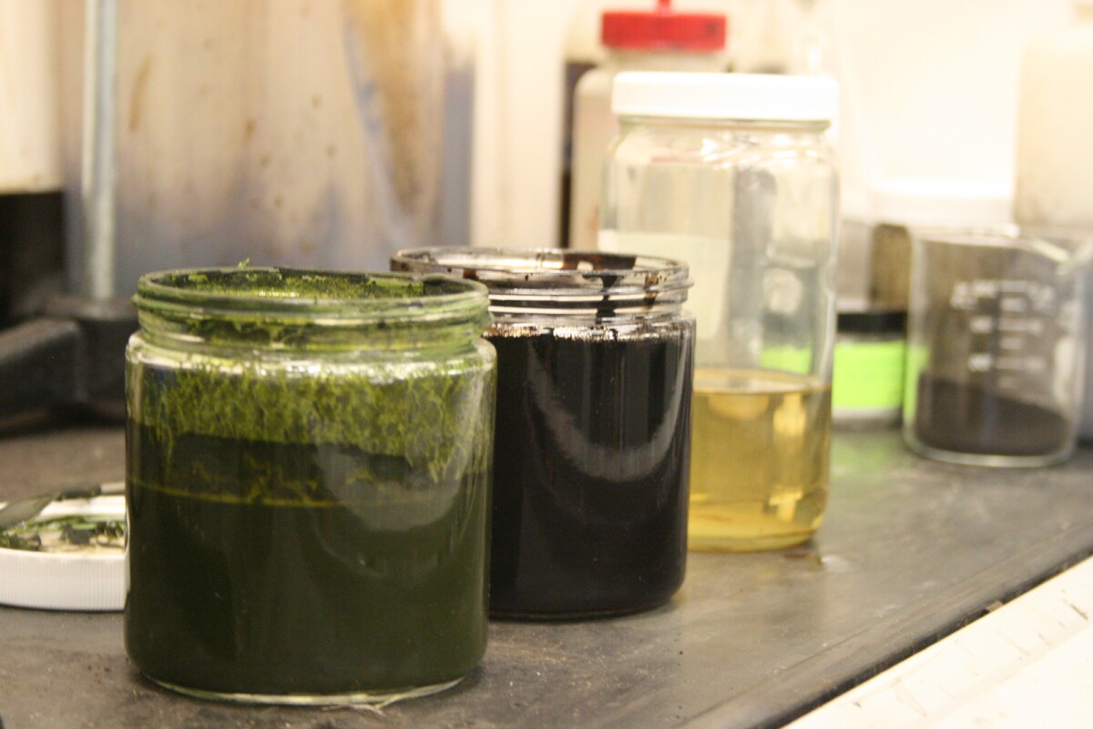 Steps in the process for making fuel from algae – the algae slurry, crude oil, and refined diesel fuel