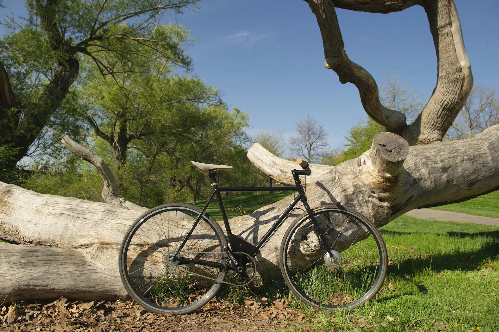 The three models of Maxwell EP0 are said to weigh from 25 to 31 lb